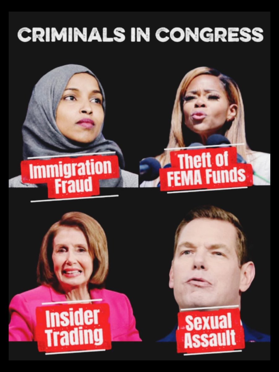 MAGA NEWS tweet media