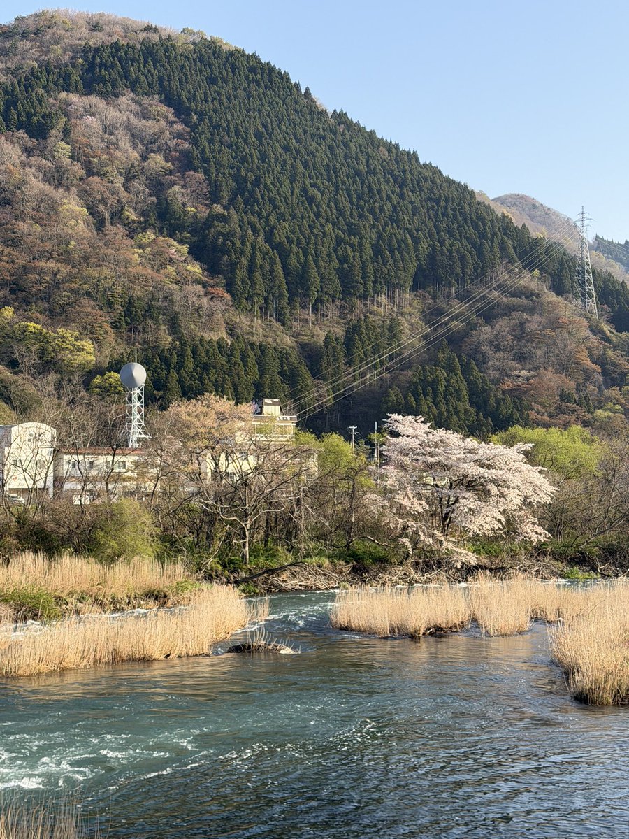 ひらの＠保険募集人の集客の悩みを営業戦略でサポートする人 tweet media