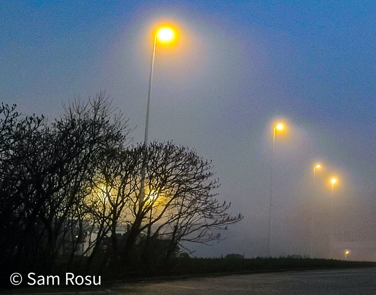 SamR of It's Spring North 🇨🇦 tweet media