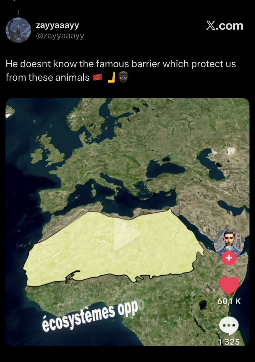 CeeSayking🌍🔴⚫️🟢 tweet media