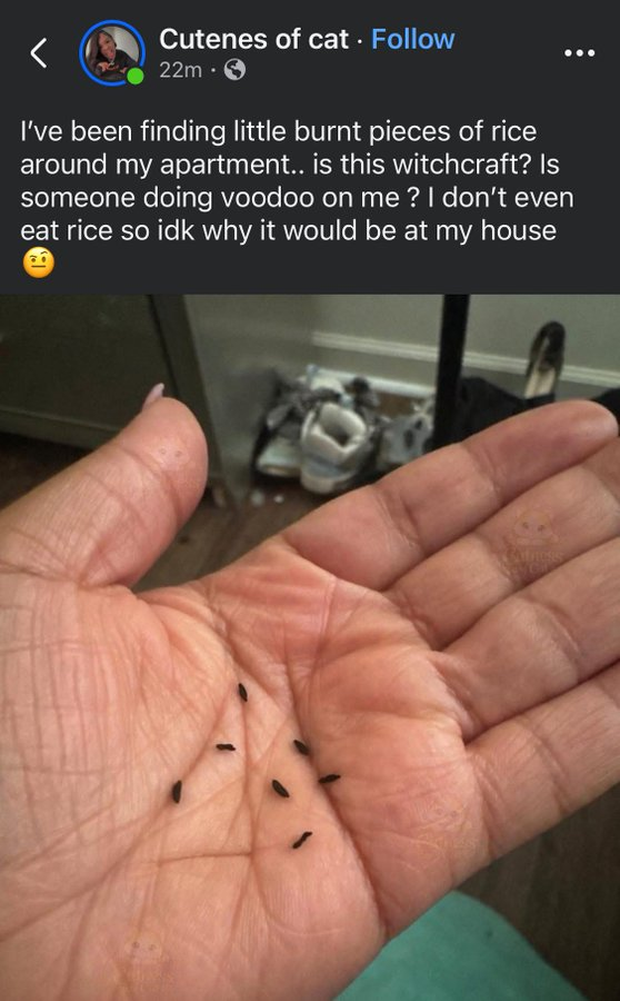 YabaLeftOnline tweet media