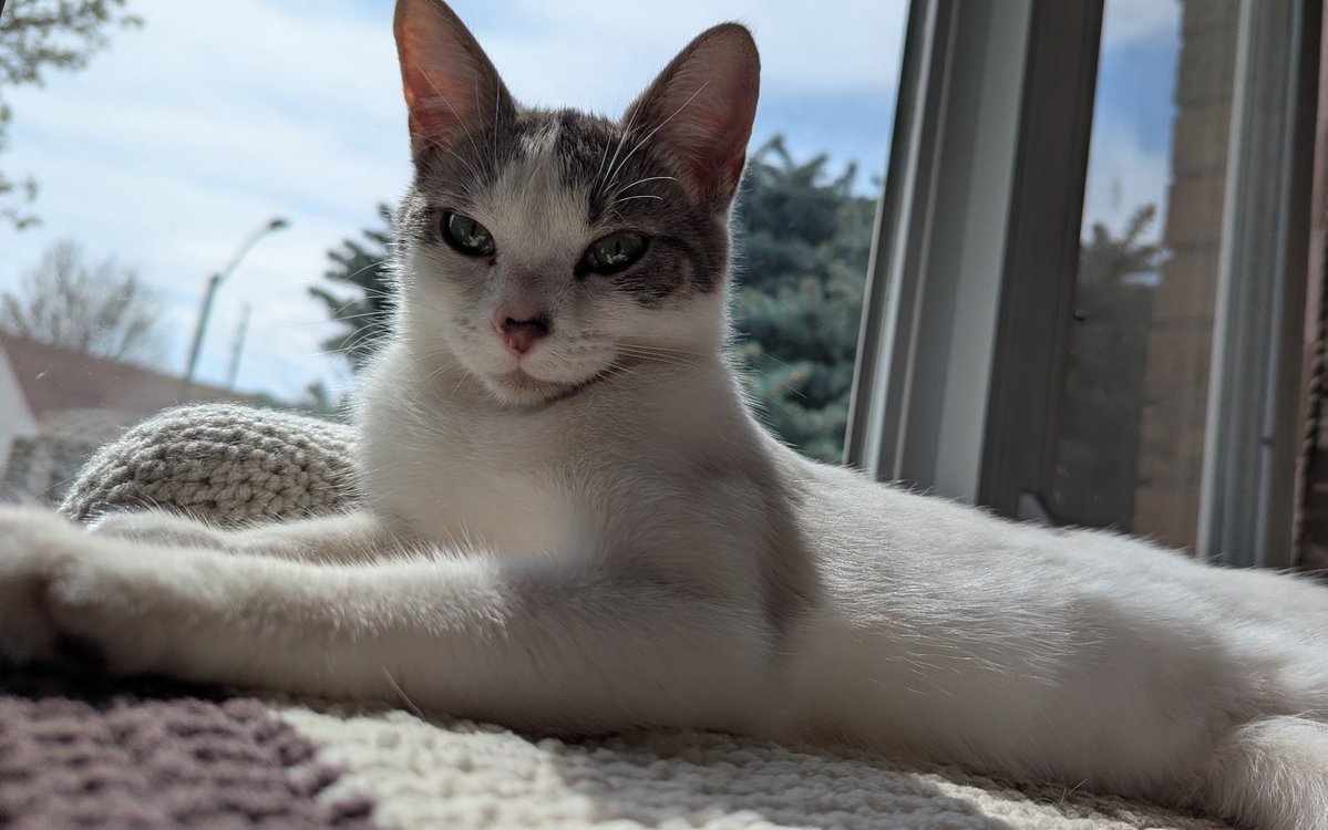 Nicholas tweet media