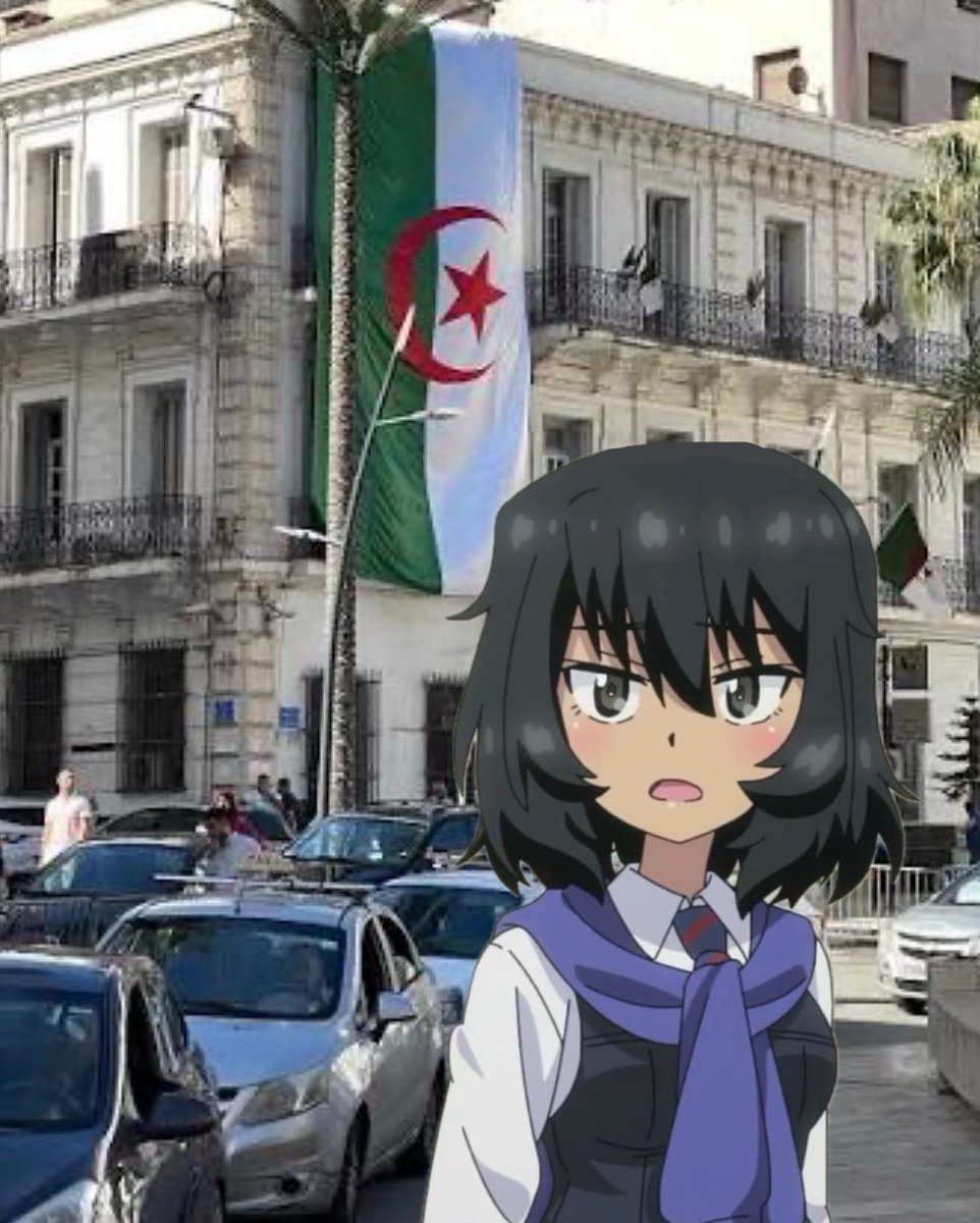 Anchovy Pizza 🇺🇸 tweet media