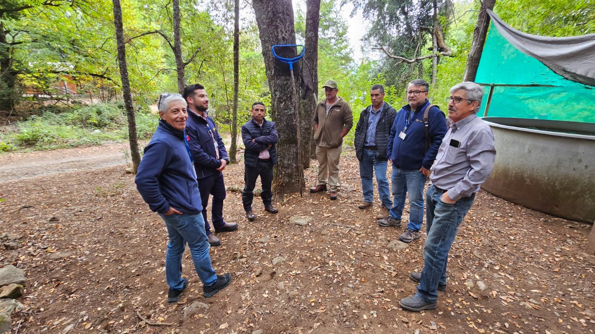 Servicio Nacional de Pesca y Acuicultura 🇨🇱 tweet media