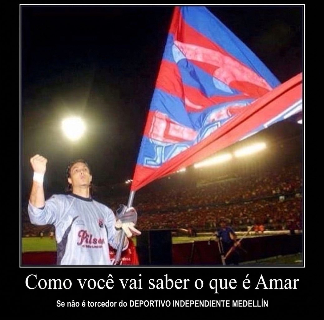 . <a href="/DIM_Oficial/">DIM</a>