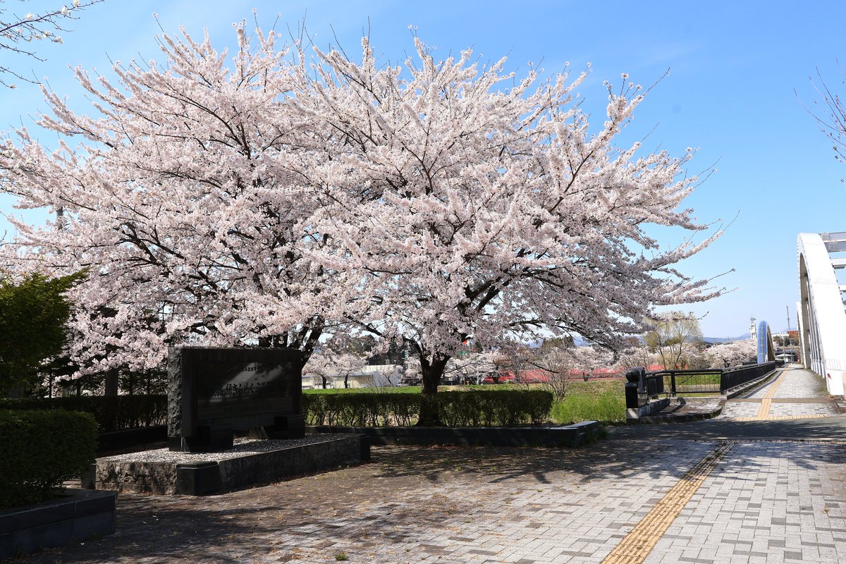 やまいわけん tweet media