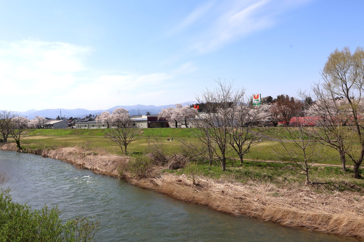 やまいわけん tweet media