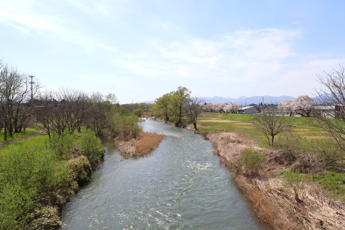 やまいわけん tweet media