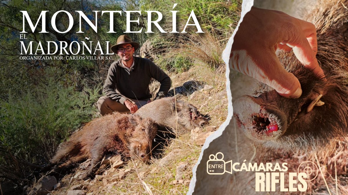 NUEVO VIDEO DE @hablemosdecaza ‼️⤵️

youtu.be/ATn7zlI5v3E?is…

#hablemosdecaza #cazadoresenyoutube #monteriasenespaña