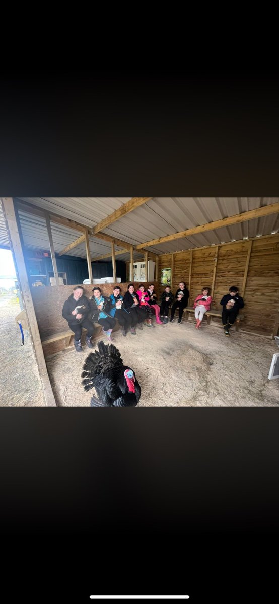 ArkOnTheClyde's tweet photo. Photos from our holiday club https://t.co/M84OueypGe