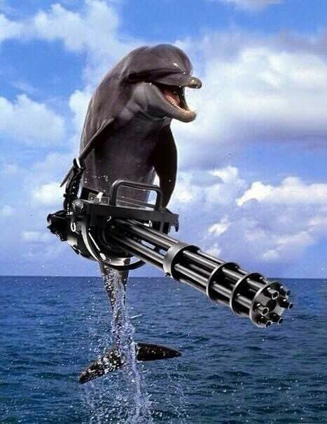 𝙄𝙉𝘿𝙄𝘾𝙊 🦤 tweet media