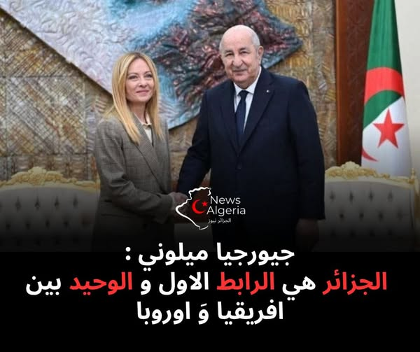 Fallseason 🇩🇿 tweet media