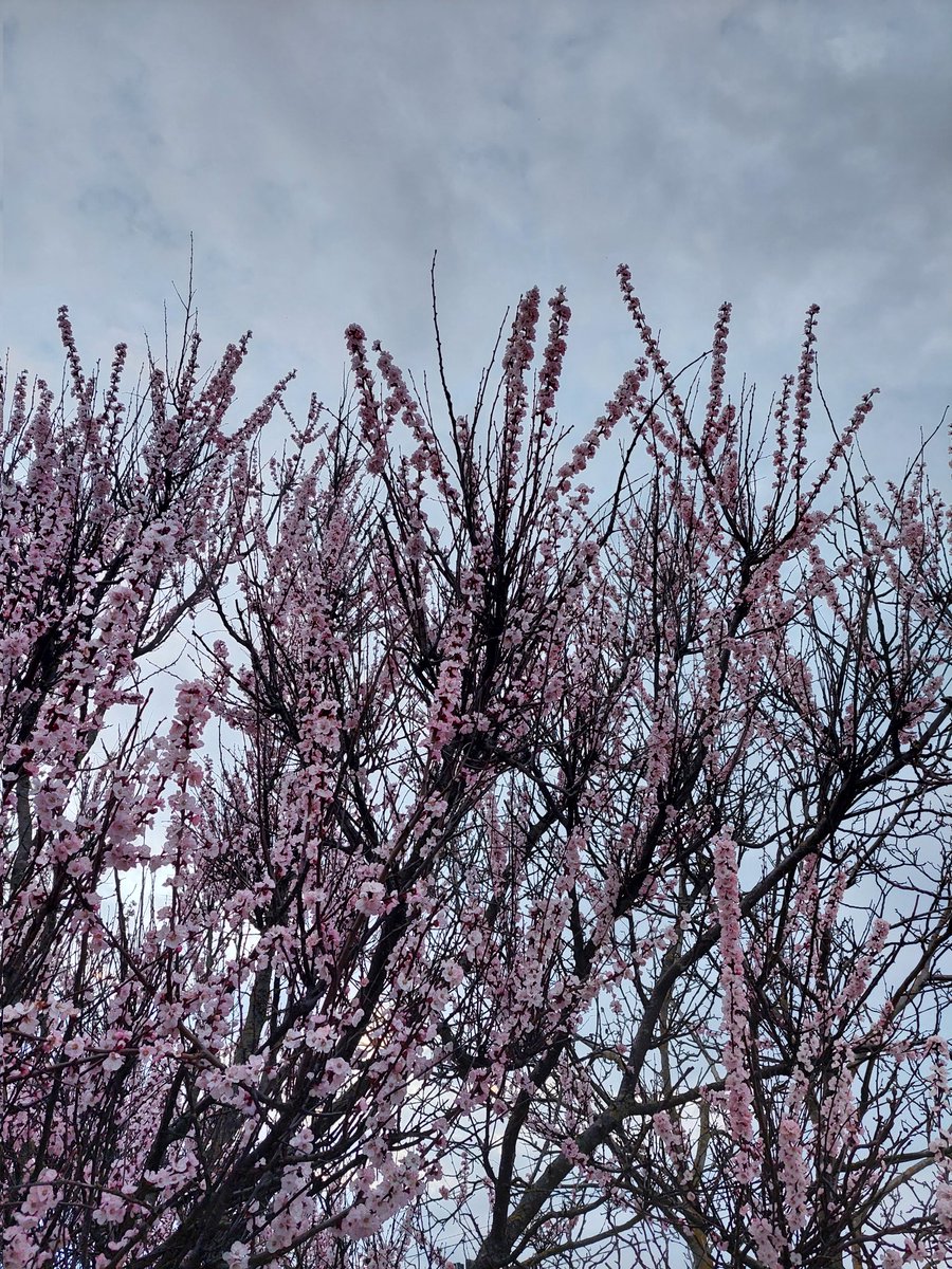 no it's delirium 🌈 tweet media