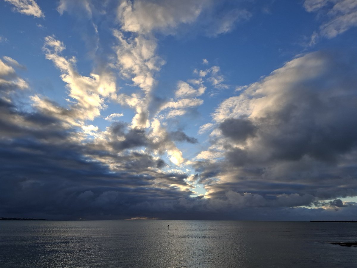 soporific tweet media