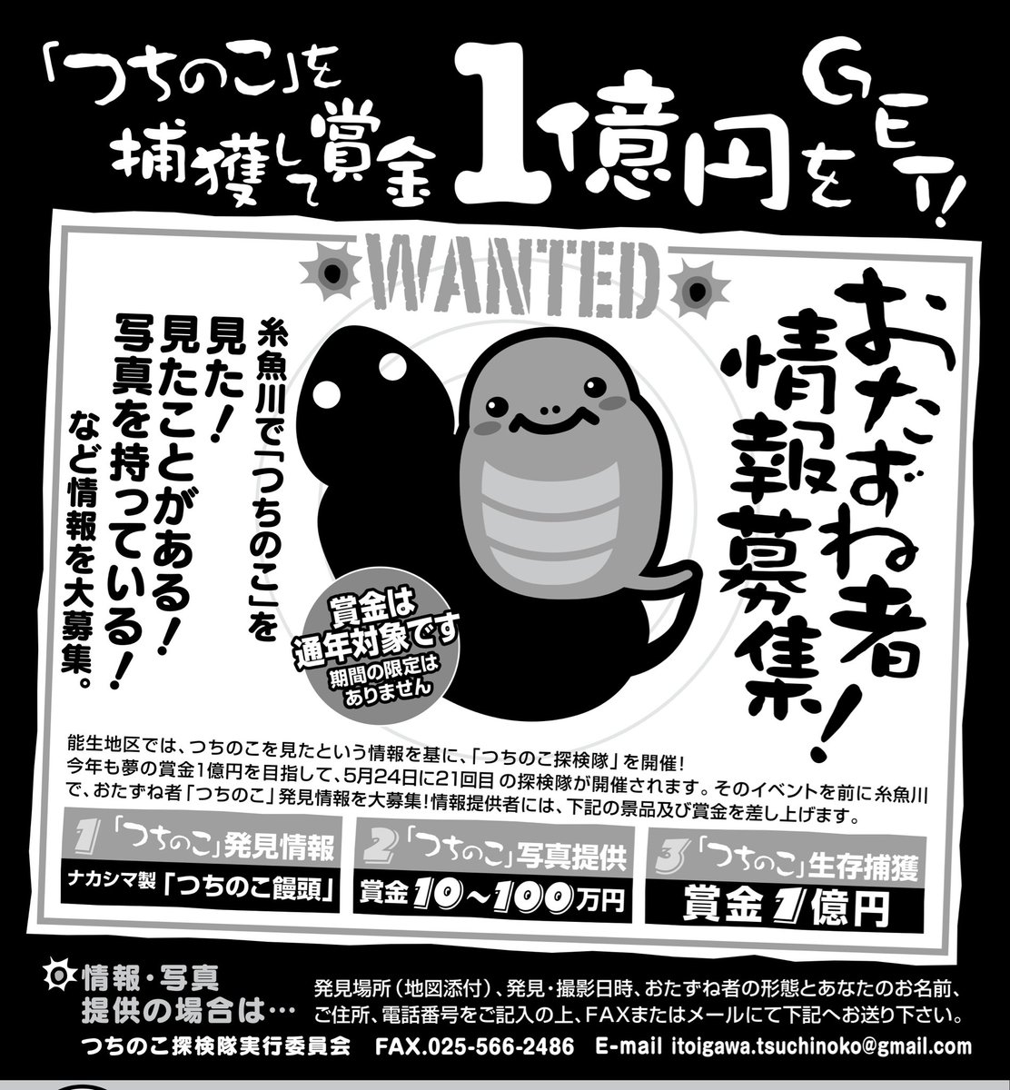 糸魚川の捕獲賞金は通年対象。
1匹分のみです。
つちのこ探検隊開催前に生け捕りされた場合、イベントの中止又は賞金が無くなる場合があります。
