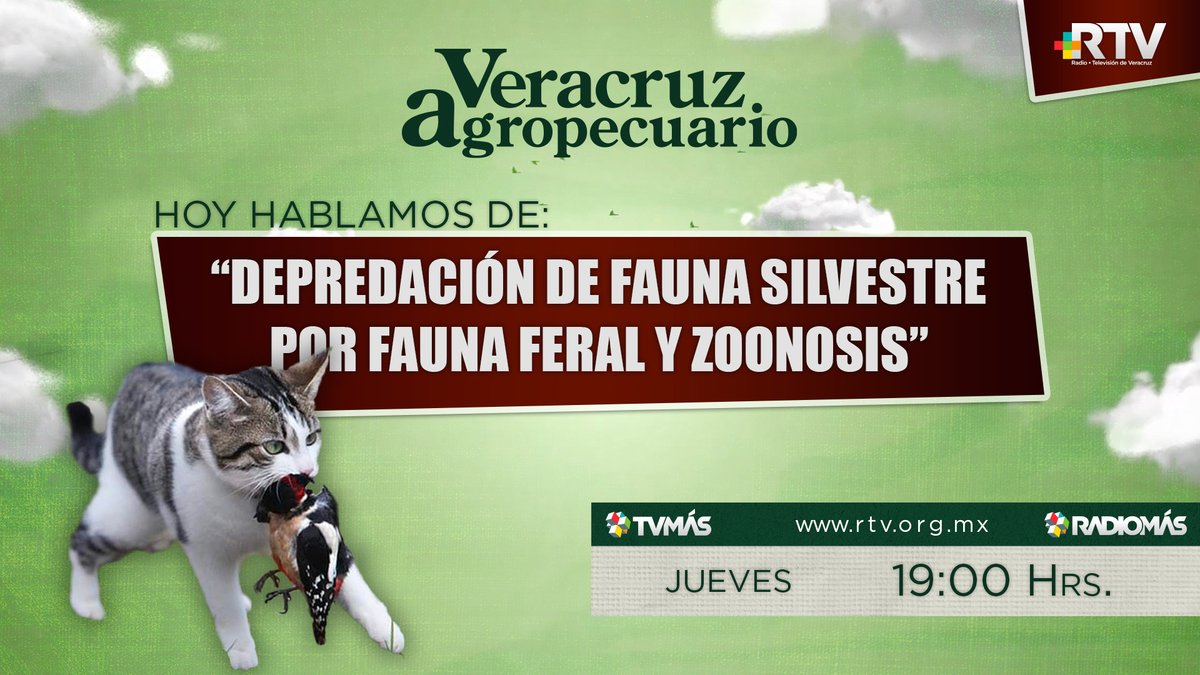 Veracruz Agropecuario RTV tweet media