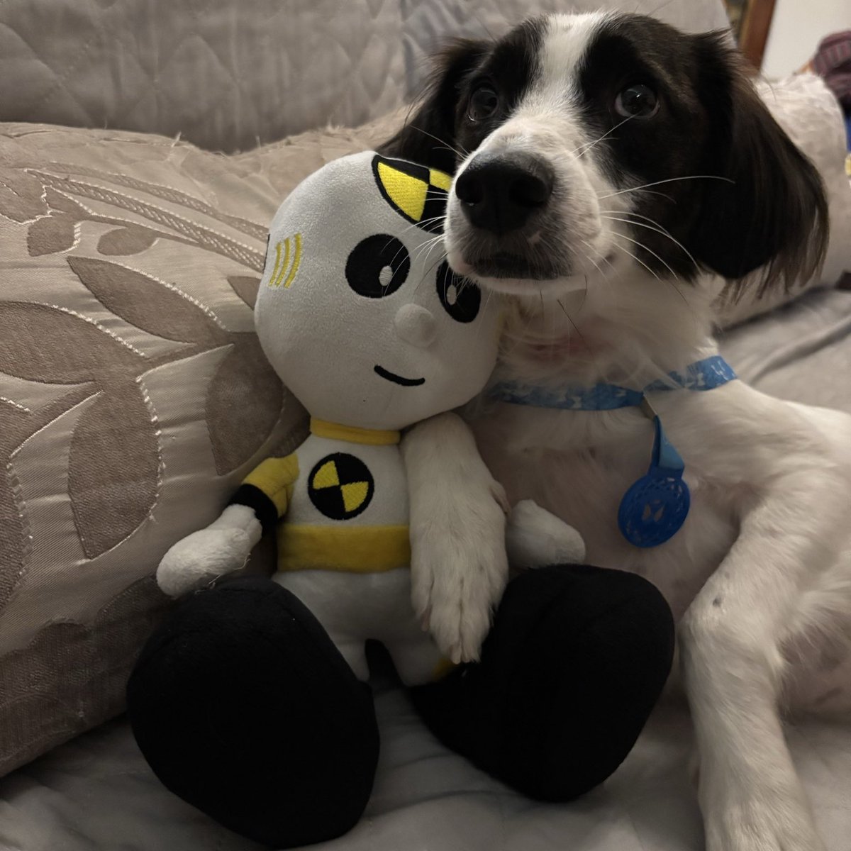 it's luka sagr duang with you 𐔌՞. .՞𐦯 tweet media