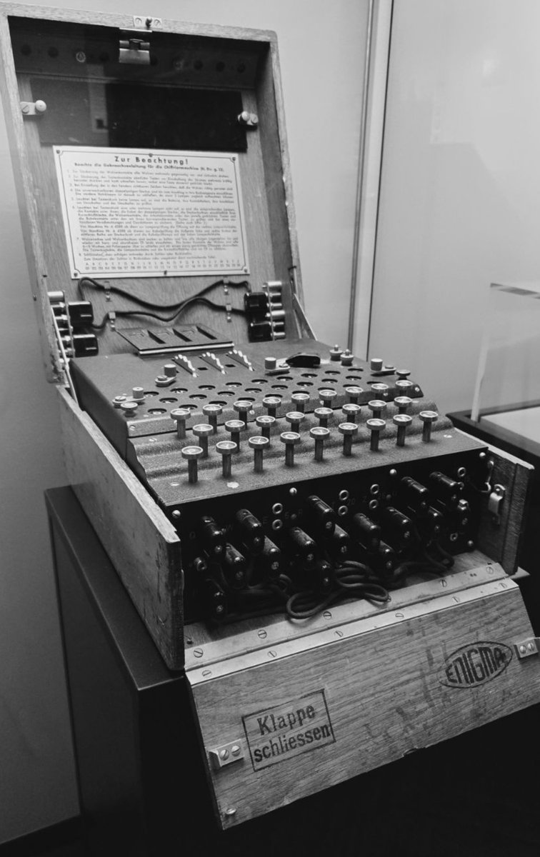 Novotny Zoltán Jr. tweet media