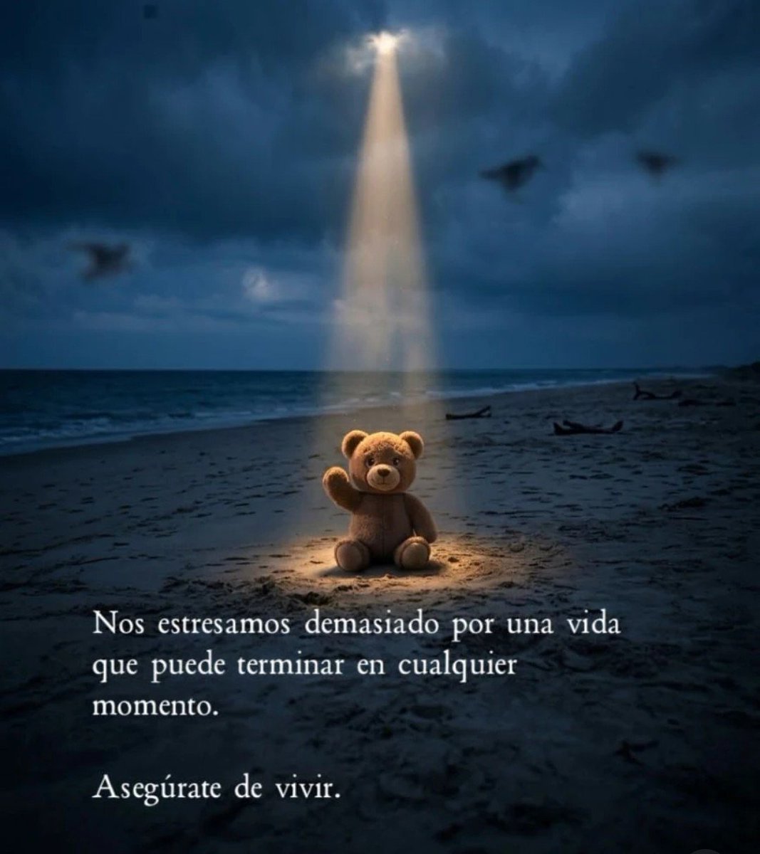 pittchero's tweet photo. 👇 https://t.co/8VQSNzeTpZ