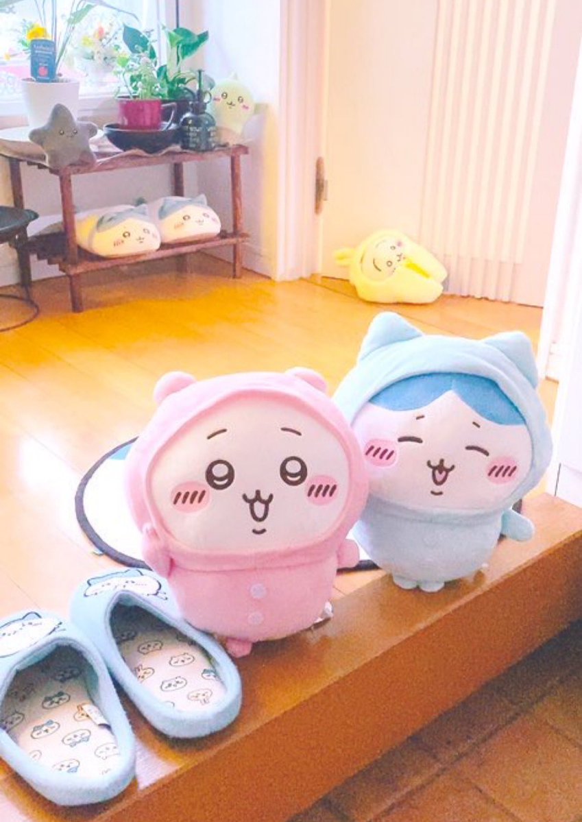 かんちゃ🍊ちいかわ生活 tweet media