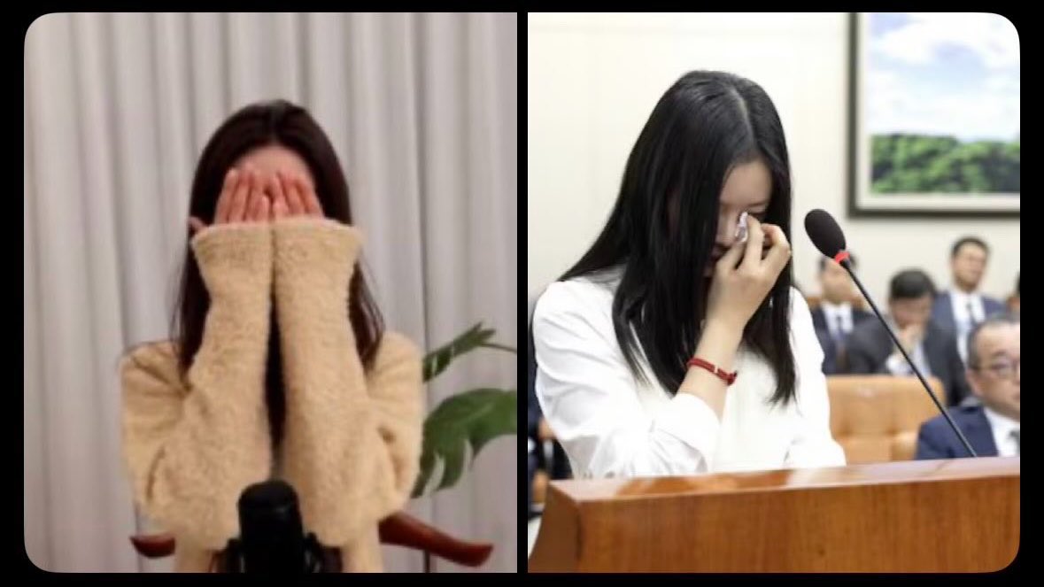 ༻ mike 🪽 tweet media