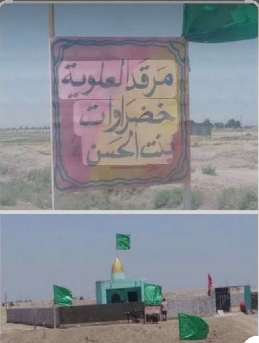 Sophia Haddad tweet media