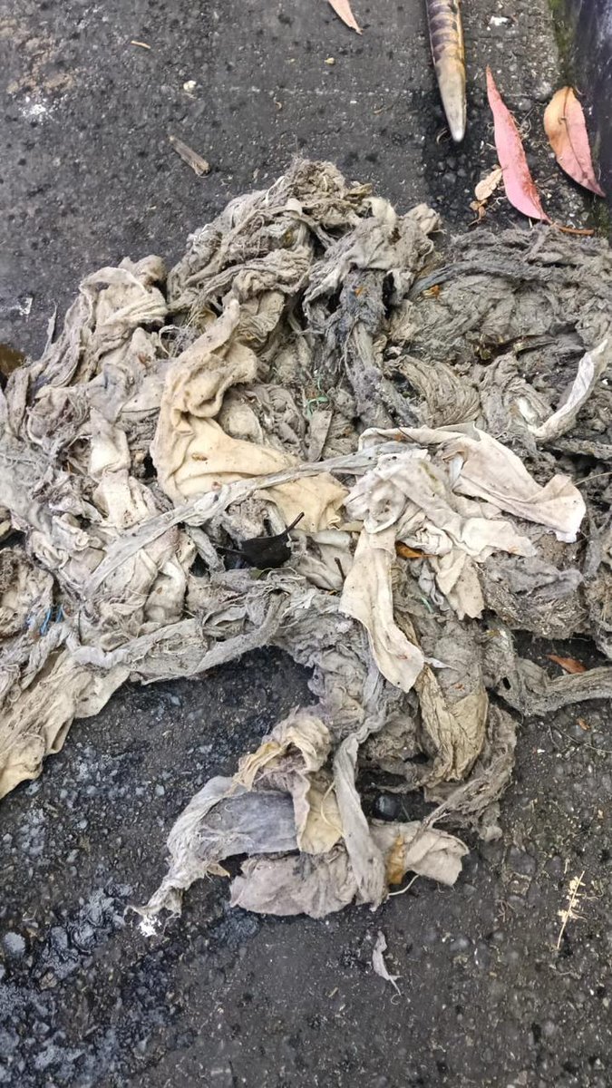 Acueducto de Bogotá tweet media