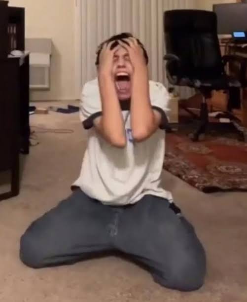 caro🐏🌱 tweet media