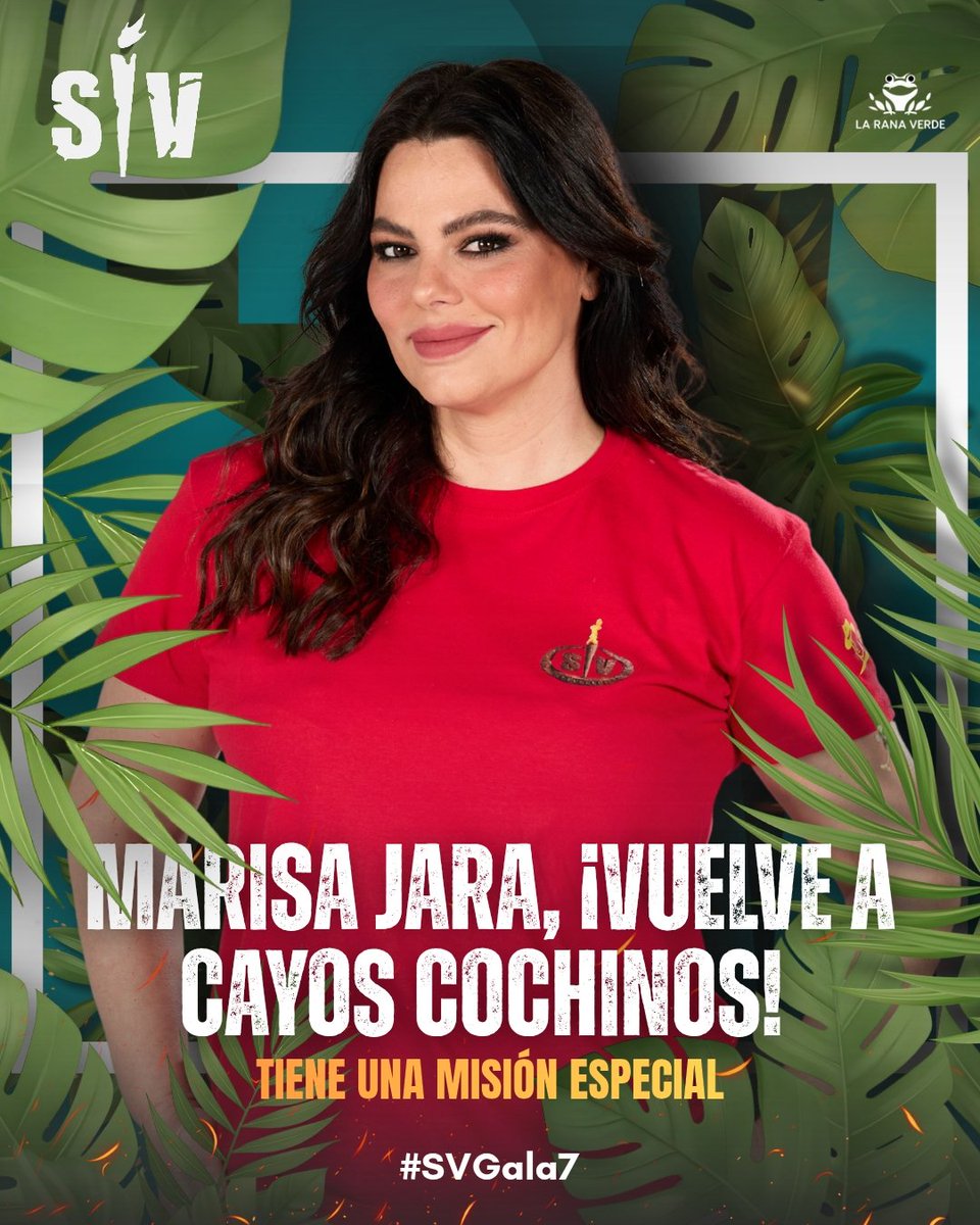 La Rana Verde tweet media