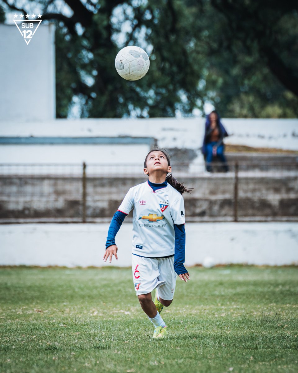 Formativas_LDU's tweet image. Preparatorio pretemporada con los más pequeños de la cantera ☺️🔥

#U12 #MiniGuerreros