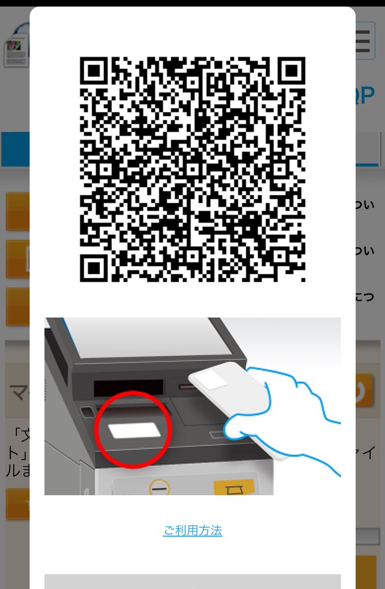 🐰ぴのすけ🐰 tweet media