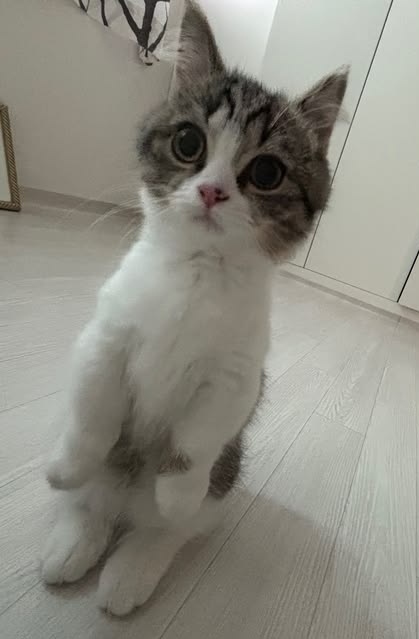 st4rvneizz1_ tweet media