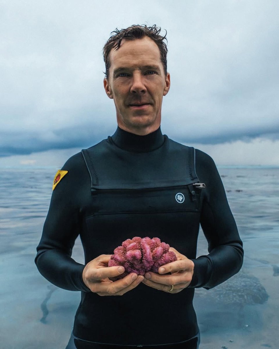 he's so proud
oh to be that coral