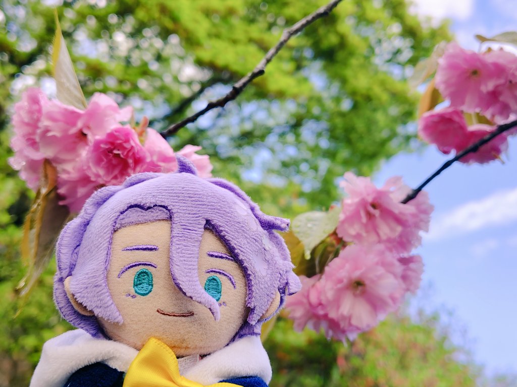 花誘(アカウント戻れなくなりました) tweet media