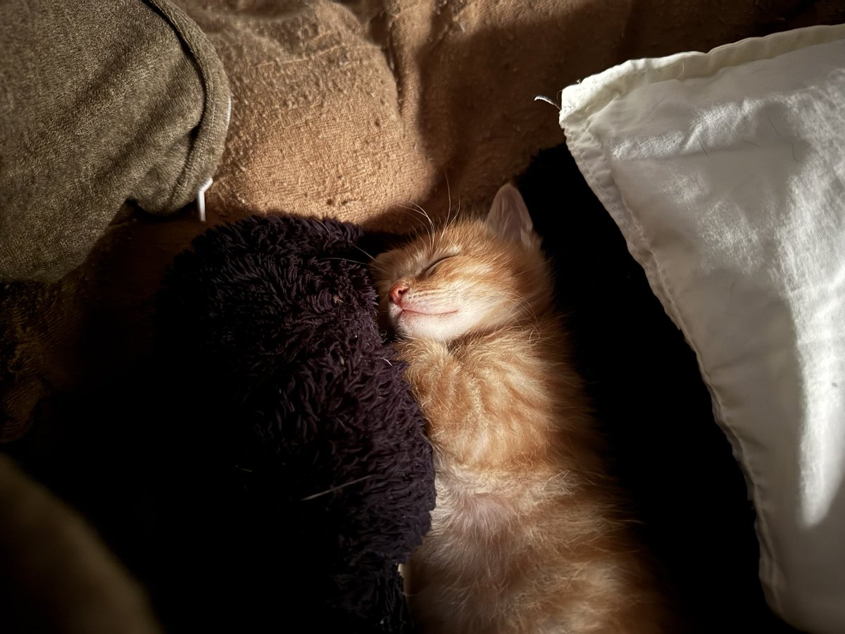 makoto POOL tweet media