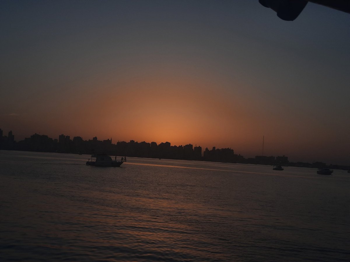 عزب شديد tweet media