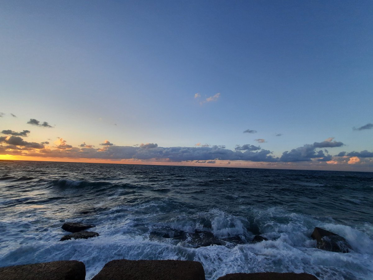 عزب شديد tweet media