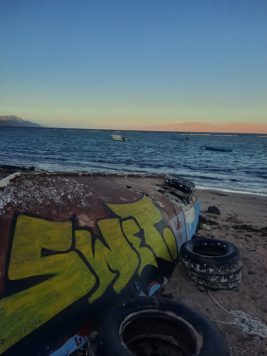 عزب شديد tweet media