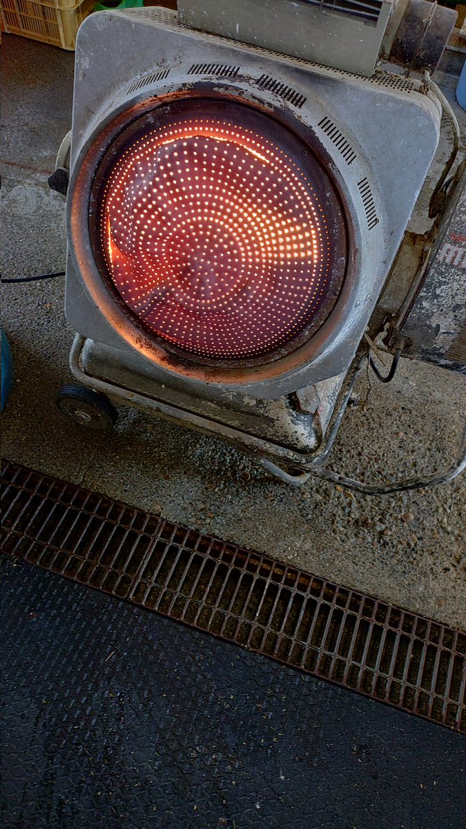 いたち tweet media