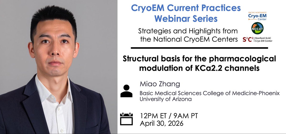 edward_eng's tweet image. The next #CryoEM Current Practices Webinar speaker will be Miao Zhang from University of Arizona speaking on "Structural basis for the pharmacological modulation of KCa2.2 channels" 4/30/2026 at 12 PM ET / 9AM PT 

Register for this virtual seminar today:
us02web.zoom.us/webinar/regist…