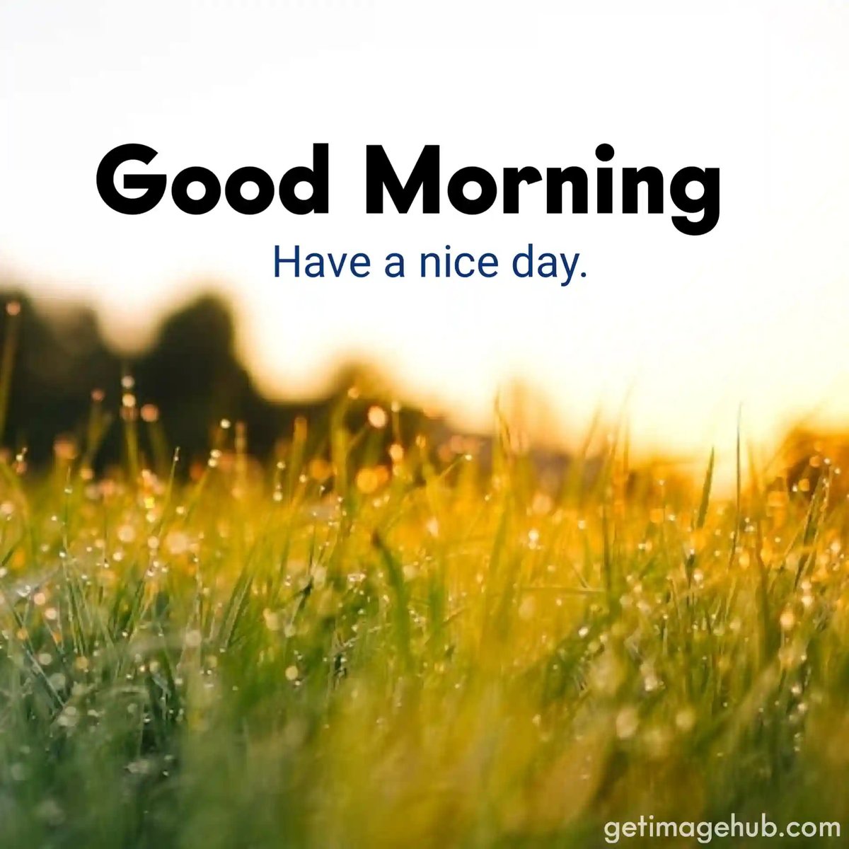 🅂🄰🄽🄳🄸🄿🄵🄿🅂 tweet media