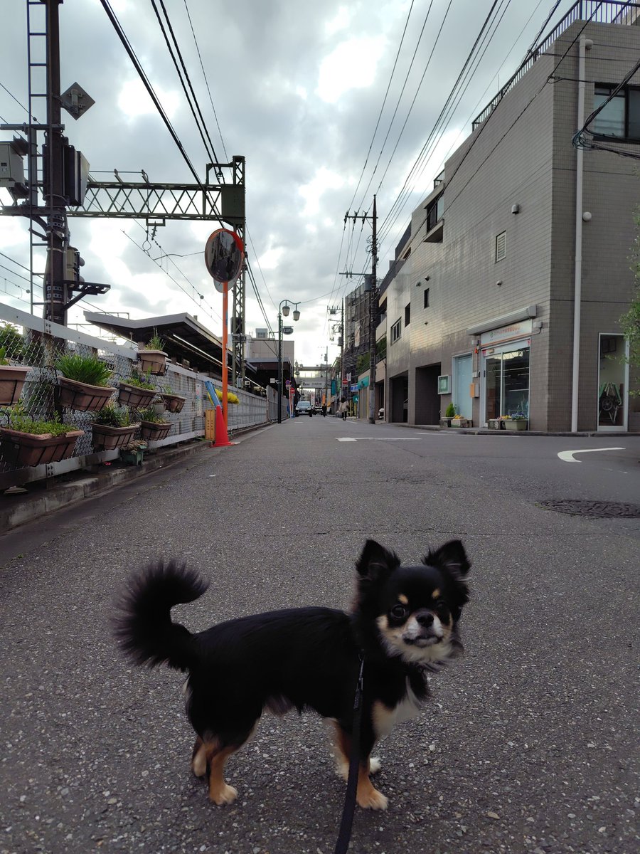 moriyakamijo tweet media