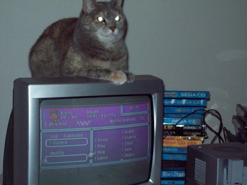 Old Internet tweet media