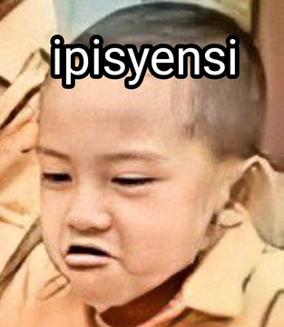 Niisa tweet media