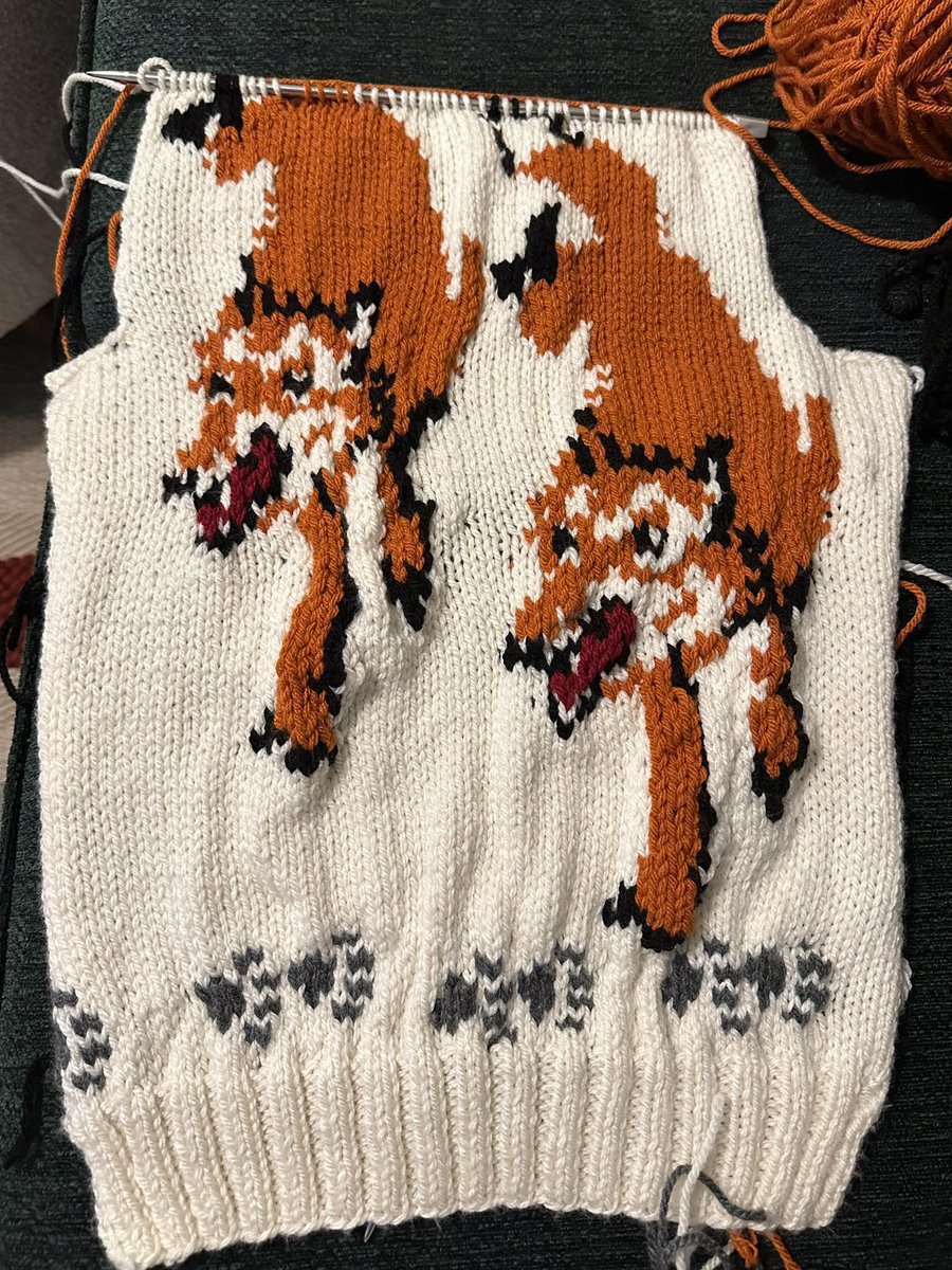 project hail harry 💫 tweet media