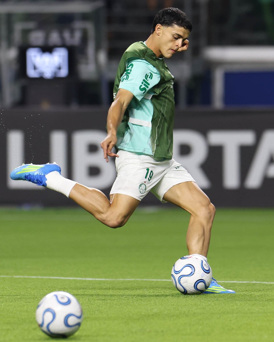 SE Palmeiras tweet media