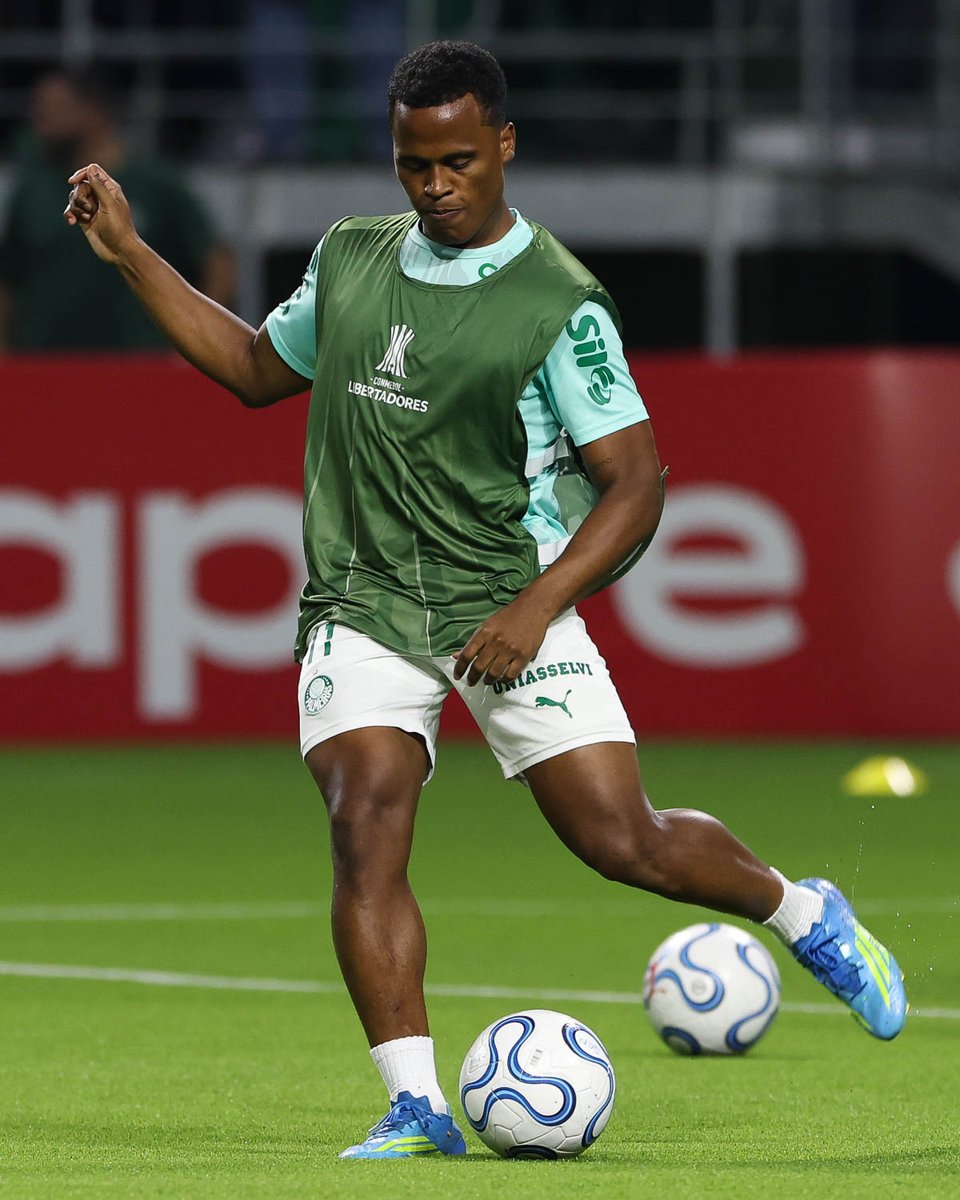 SE Palmeiras tweet media