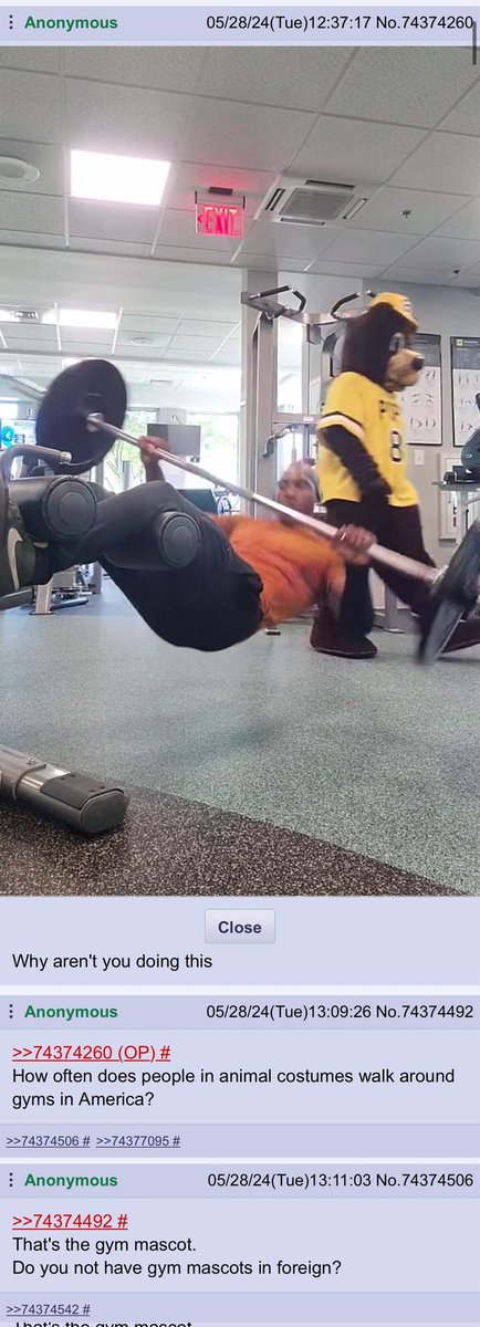 The 4Chan Archives tweet media