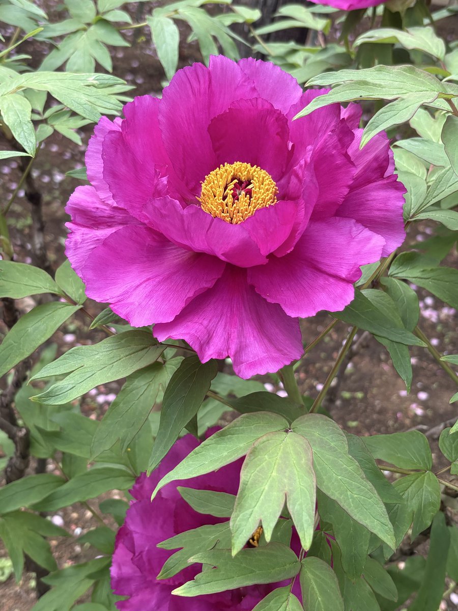 ナギ⁰✩🖇🦢 tweet media