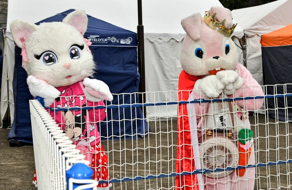 エンタメ創造サポーター【まあくんプロジェクト】(代表)マッキー tweet media